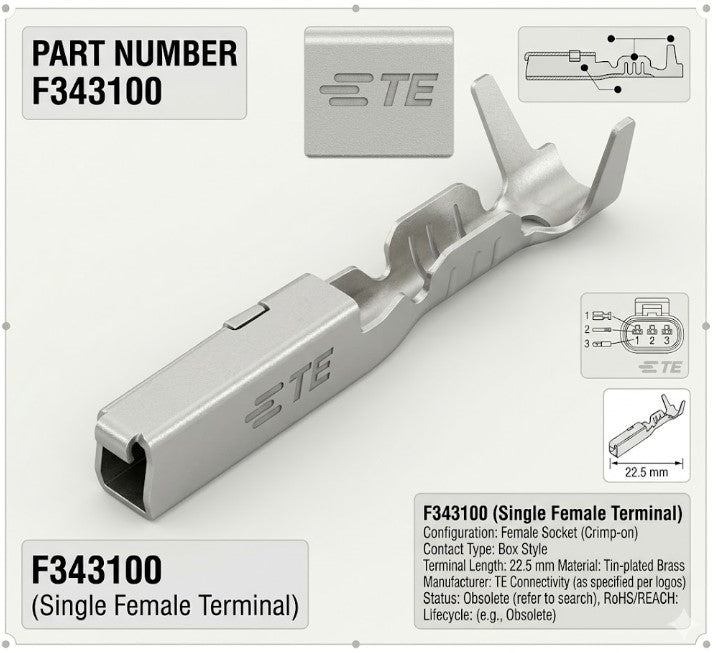 F343100